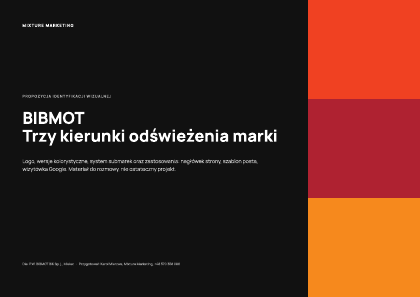 Okładka: Identyfikacja wizualna BIBMOT